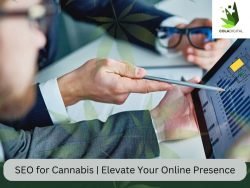 Unlocking Growth: SEO for Cannabis | Elevate Your Online Presence