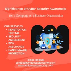 Significance of Cyber Security Awareness for a Company or a Business Organization