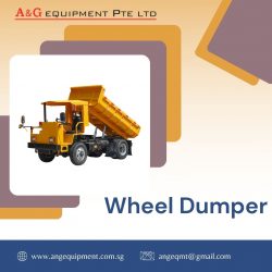 Explore Our Range of Wheel Dumpers in Singapore