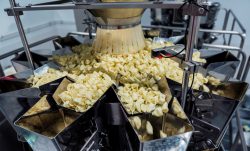South East Asia Food Processing Equipment Market to be Worth $5.57 Billion by 2031