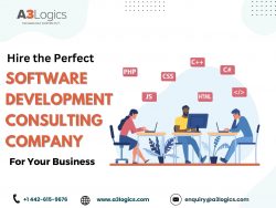 Key Qualities to Look for in a Software Development Consulting Company