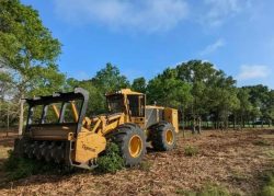 Professional land clearing contractors in Gilliam Louisiana