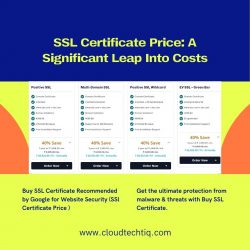 SSL Certificate Price: A Significant Leap Into Costs