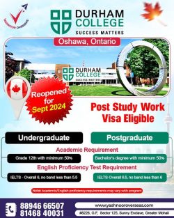 Study Abroad Consultants in Mohali | Yashnoor Overseas