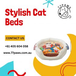 Stylish Cat Beds in Australia