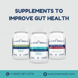 Supplements to Improve Gut Health