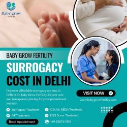 Surrogacy Cost In Delhi