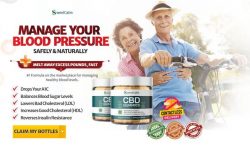 SweetCalm CBD Blood Sugar Gummies: Real Results or Hype? Dive into Today!