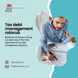 Expert Tax Debt Management in Rotorua – Trust The Hives