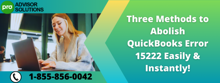 Technical Solution for QuickBooks Payroll Update Error 15222