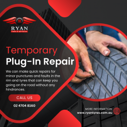 Ryan Tyres & Batteries: Temporary Plug-In Repair Services