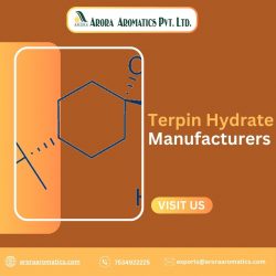 Terpin Hydrate manufacturers