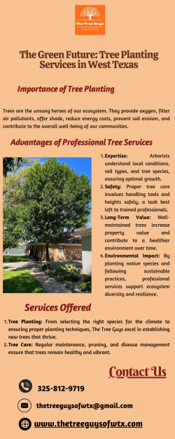 The Green Future: Tree Planting Services in West Texas