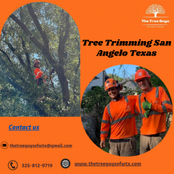 The Tree Guys of West Texas: Expert Tree Trimming Services in San Angelo, TX