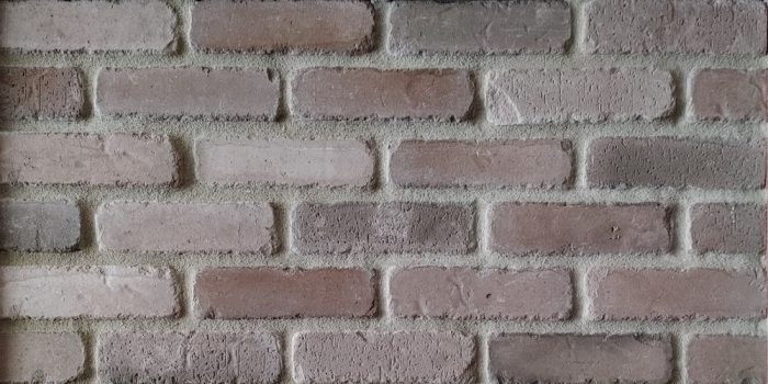 THIN BRICK VENEER PRODUCTS