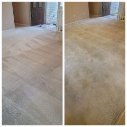 Tile Cleaning Reeds Spring