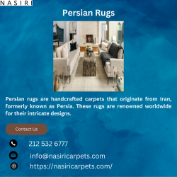Timeless Treasures: Persian Rugs Infusing Elegance and History