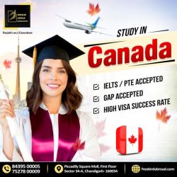 Top Canada Study Visa Consultants In Chandigarh