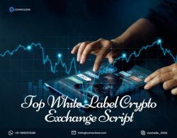 Top 7 White Label Crypto Exchange Script