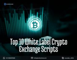 Top 10 White Label Crypto Exchange Scripts