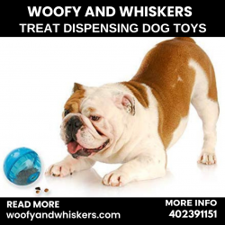 Treat Dispensing Dog Toys