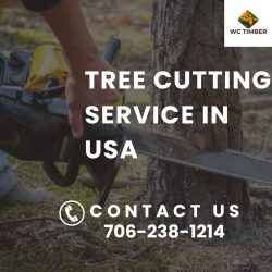 Best Tree Cutting and Tree Takedown Removal Service in the USA