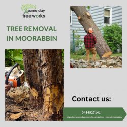 Professional Tree Removal in Moorabbin: Your Trusted Arborists
