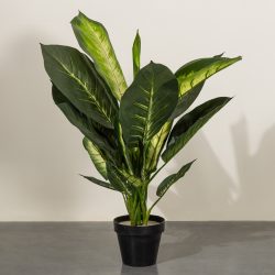 Buy Artificial Plants Online