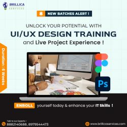 Best UI and UX Design Course in Dehradun