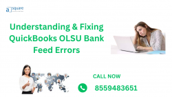 How to Fix QuickBooks Error OLSU 1024 in 4 Steps