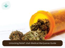 Unlocking Relief: Utah Medical Marijuanas Guide