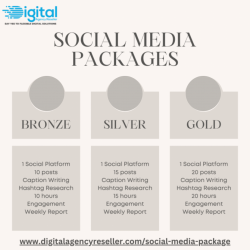 Custom Social Media Packages | View Plans & Pricing