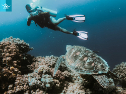 Explore Scuba Diving in Vietnam