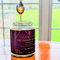 Discover Apislux: The Pure Bliss of Kelulut Stingless Bee Honey