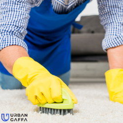 Find a Carpet Cleaning Professionals in London | Carpet Cleaners Near Me