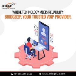 Bridgei2p: Leading VOIP Providers in Hyderabad for Exceptional Communication