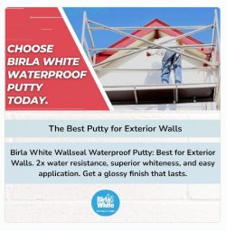 Ultimate Protection: Birla White WallSeal Waterproof Putty for Exterior Walls
