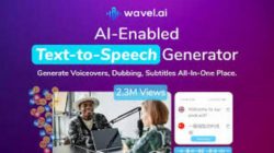 Accurate Spanish to English Translations in Seconds with Wavel AI