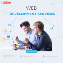 Drive Growth and Engagement with Top-Tier Web Development Service