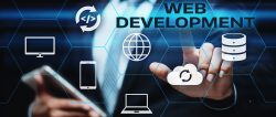 Website Development Solutions: Increase Your Online Visibility