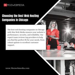 Choosing the Best Web Hosting Companies in Chicago
