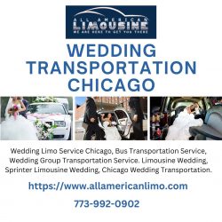 Wedding Limousine Service Chicago by All American Limo