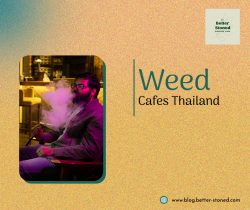 Weed Cafes Thailand