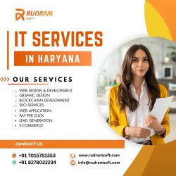 Best IT services in Haryana