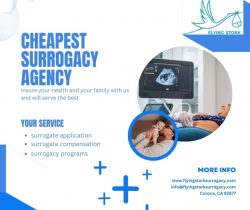 Looking For Cheapest Surrogacy Agency in Corona