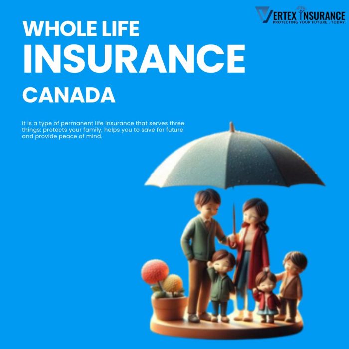 Building Financial Stability: Whole Life Insurance Solutions in Canada | Vertex Insurance