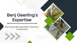 Why Choose Benj Geerling for Hazardous Tree Removal