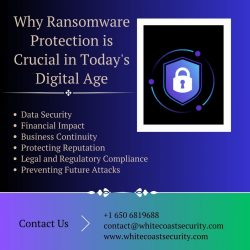 Why Ransomware Protection is Crucial in Today’s Digital Age