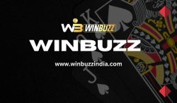 The Thrill of Cricket Betting on Winbuzz