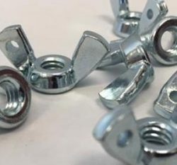 ss 304 bolt